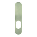 plaque-paliere-pleine-laiton-nickel-mat-PLSG04-19