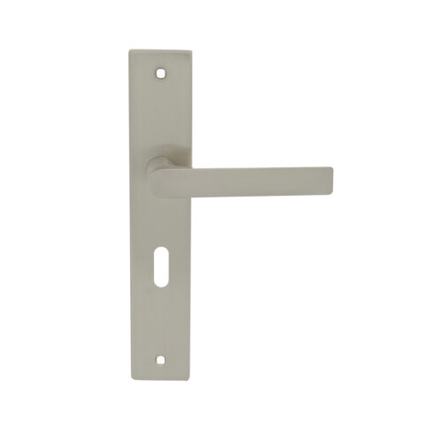 poignee-plaque-laris-zamak-acier-nickel-mat-005436-19
